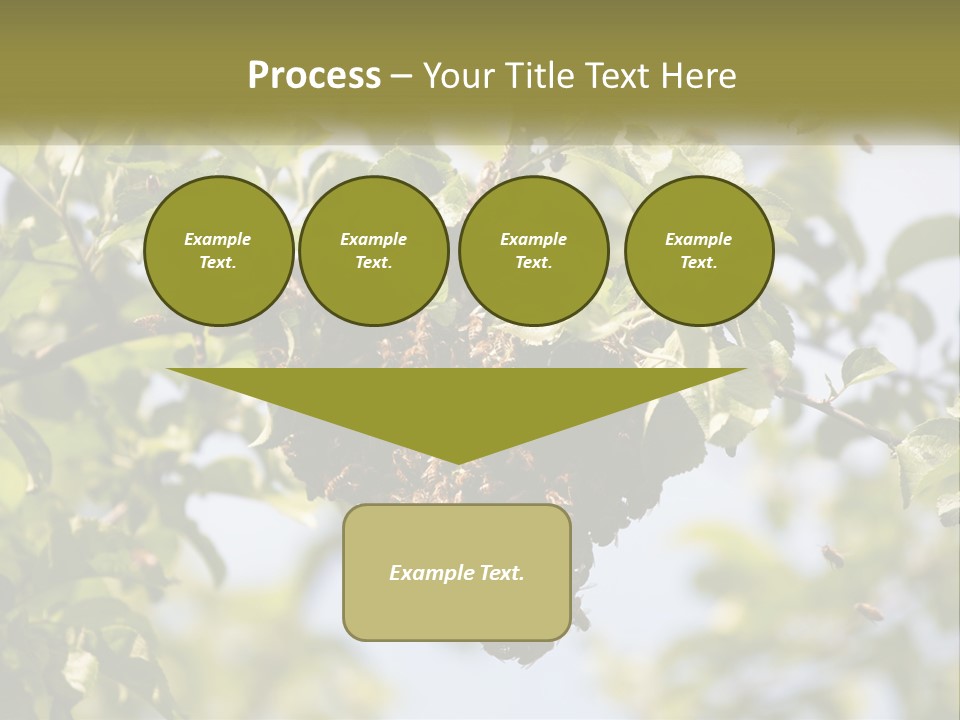 Thorax Tree Garden PowerPoint Template