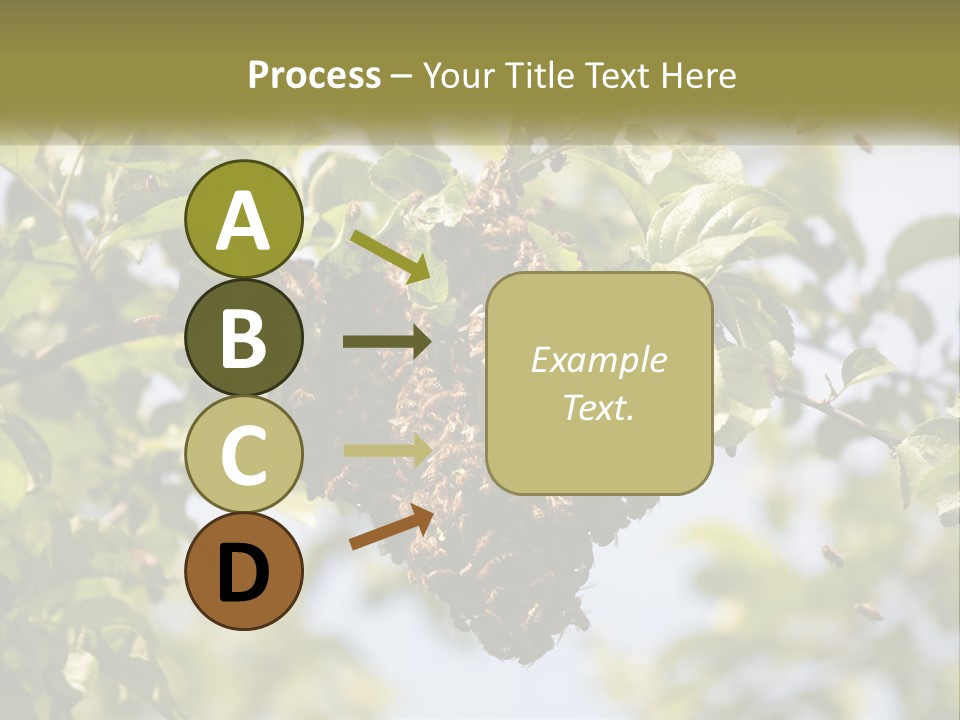 Thorax Tree Garden PowerPoint Template