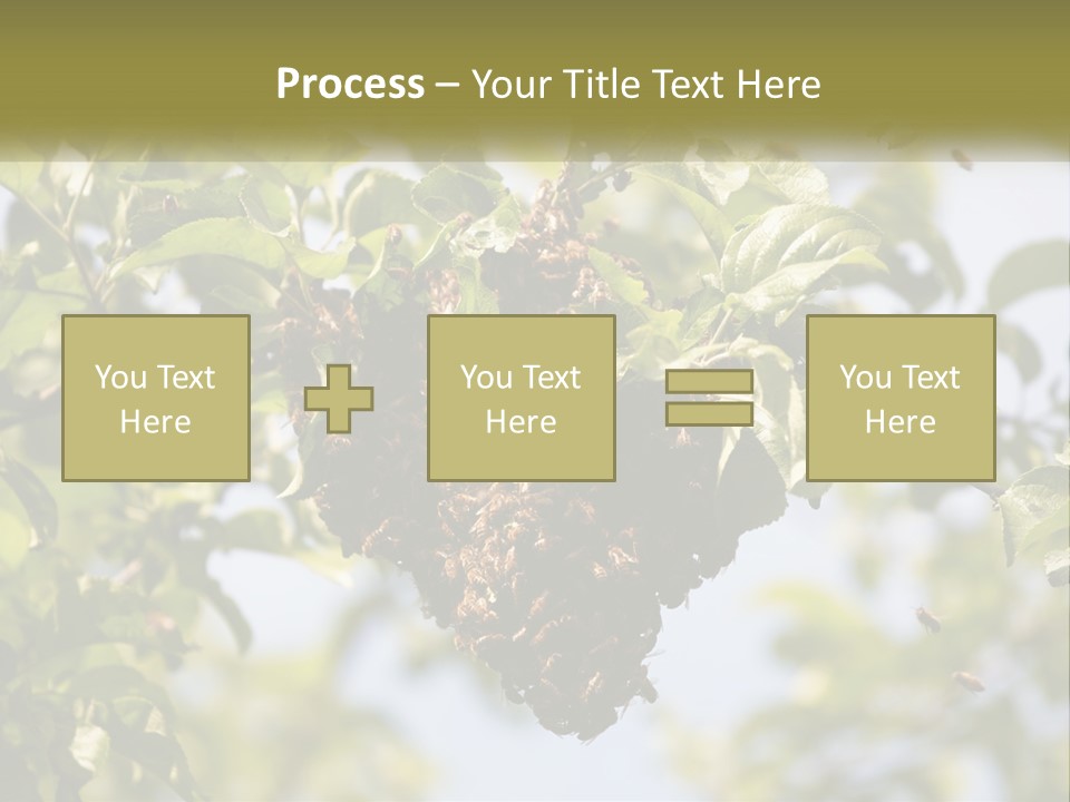 Thorax Tree Garden PowerPoint Template