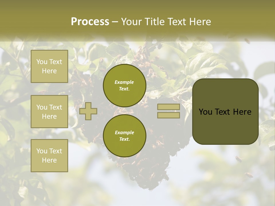 Thorax Tree Garden PowerPoint Template
