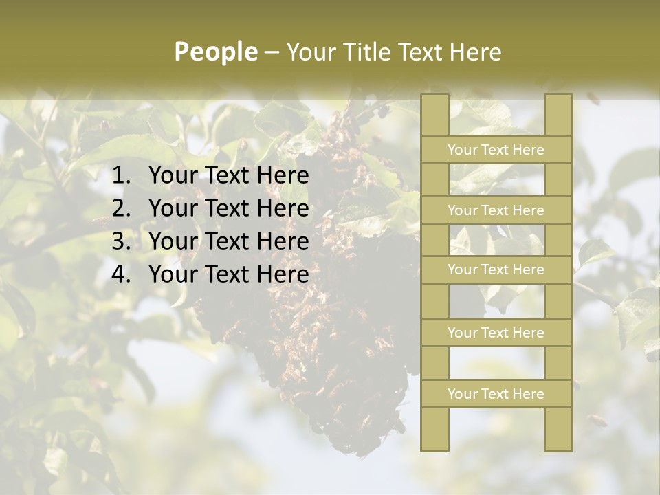 Thorax Tree Garden PowerPoint Template