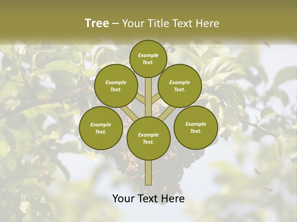 Thorax Tree Garden PowerPoint Template