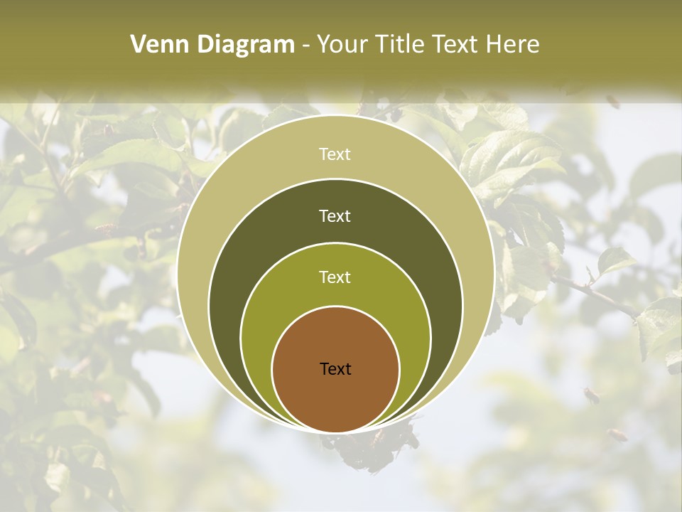 Thorax Tree Garden PowerPoint Template