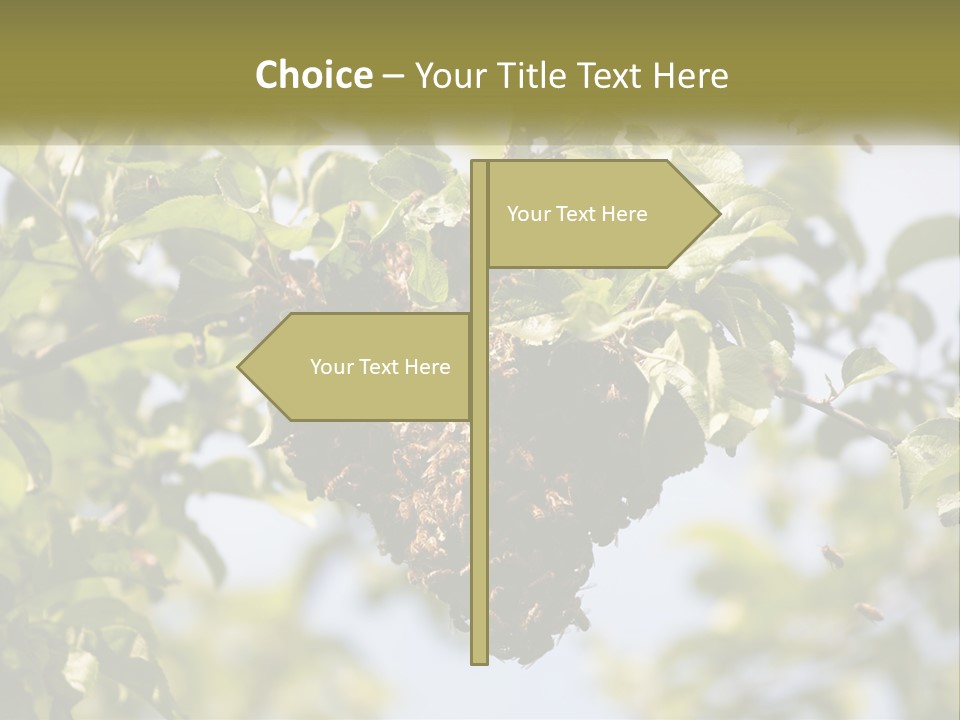 Thorax Tree Garden PowerPoint Template