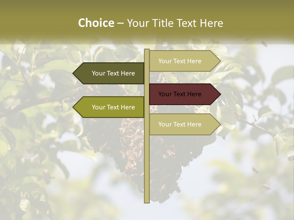 Thorax Tree Garden PowerPoint Template