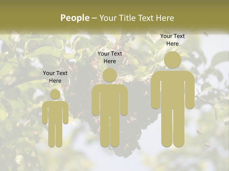 Thorax Tree Garden PowerPoint Template