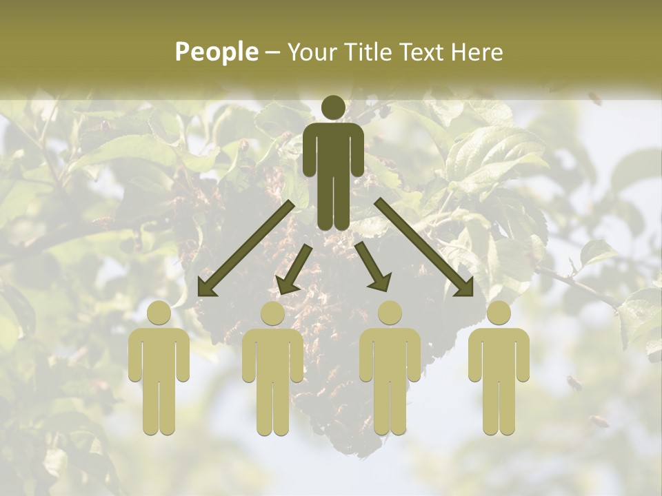 Thorax Tree Garden PowerPoint Template