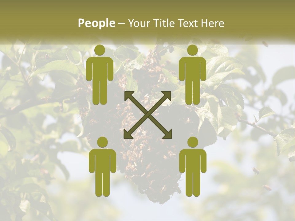 Thorax Tree Garden PowerPoint Template