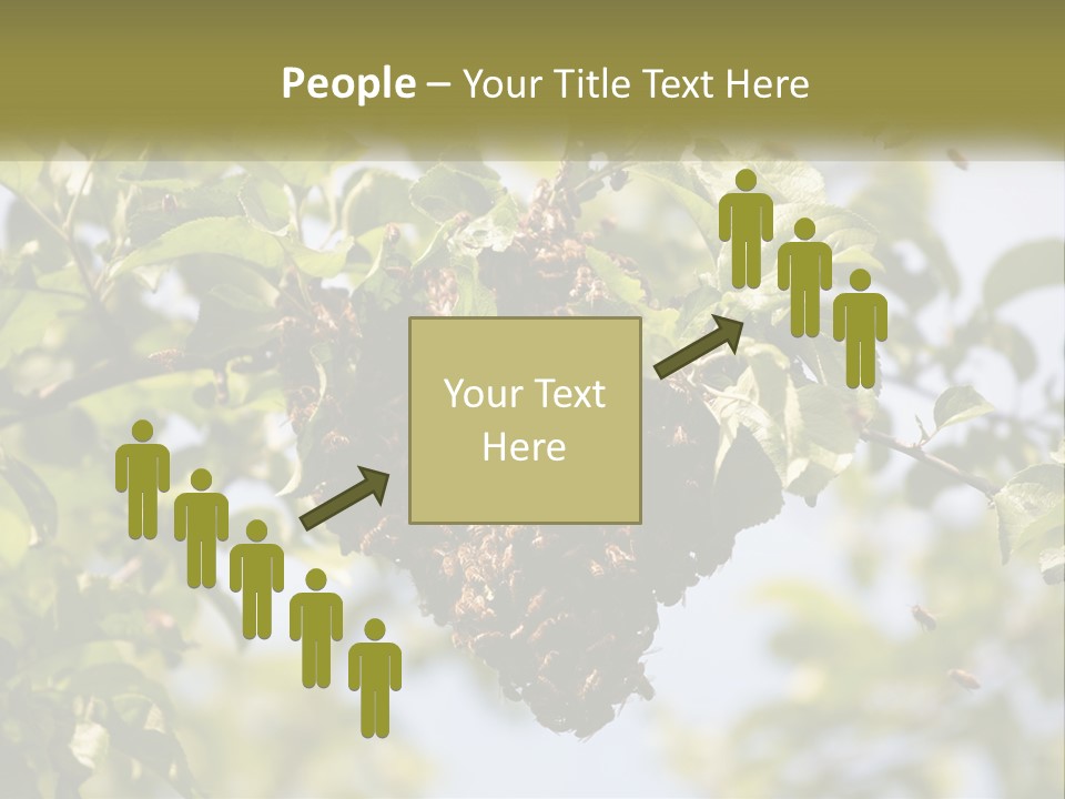Thorax Tree Garden PowerPoint Template