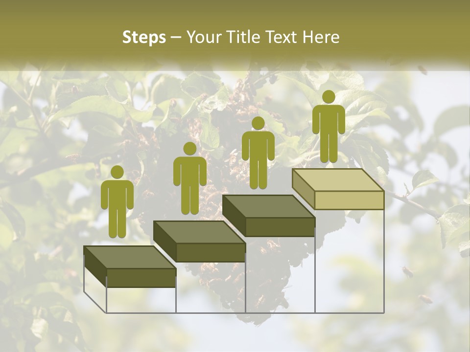 Thorax Tree Garden PowerPoint Template