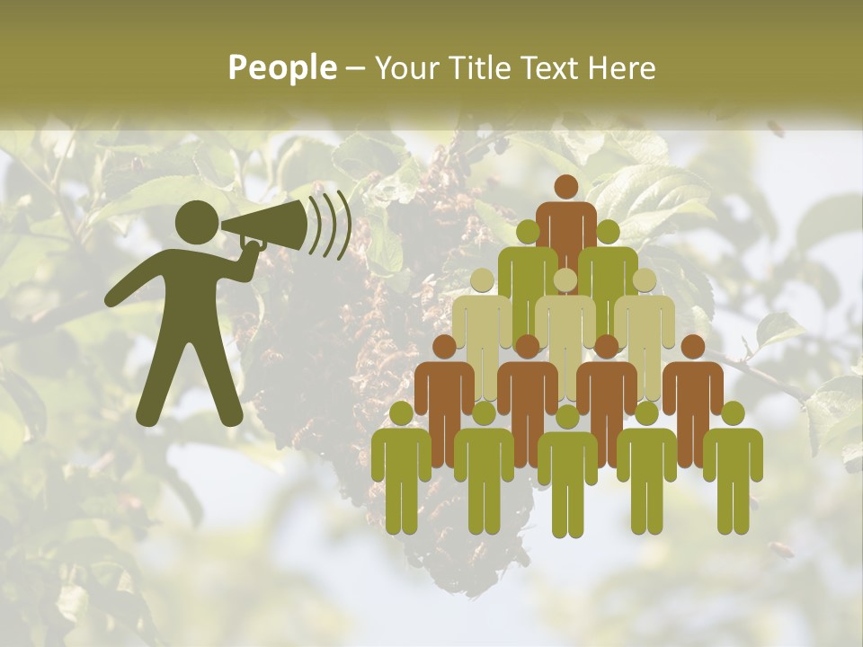 Thorax Tree Garden PowerPoint Template