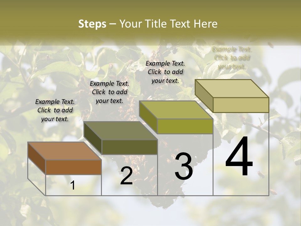 Thorax Tree Garden PowerPoint Template