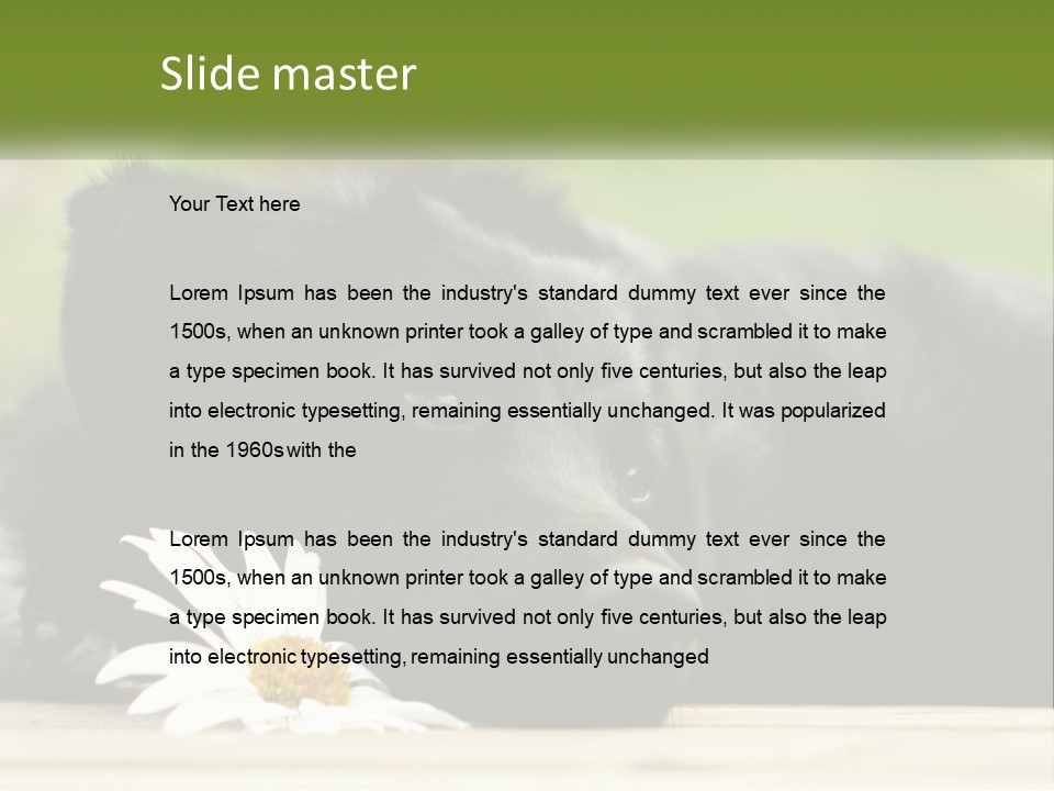 Dog Dream Black PowerPoint Template