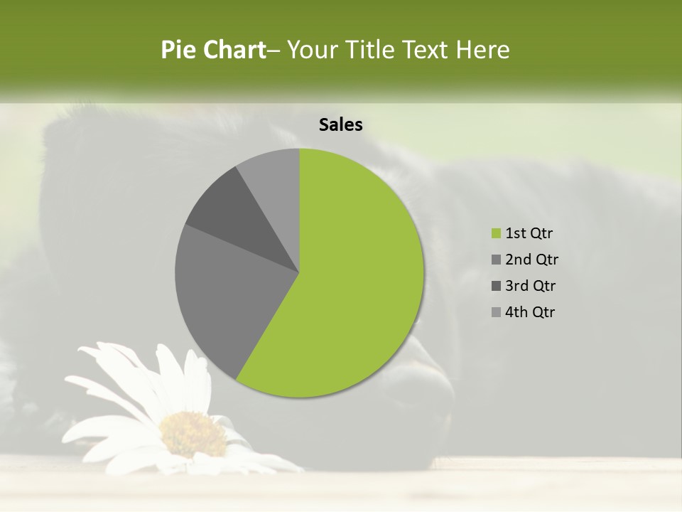 Dog Dream Black PowerPoint Template