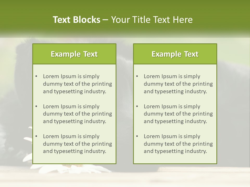 Dog Dream Black PowerPoint Template