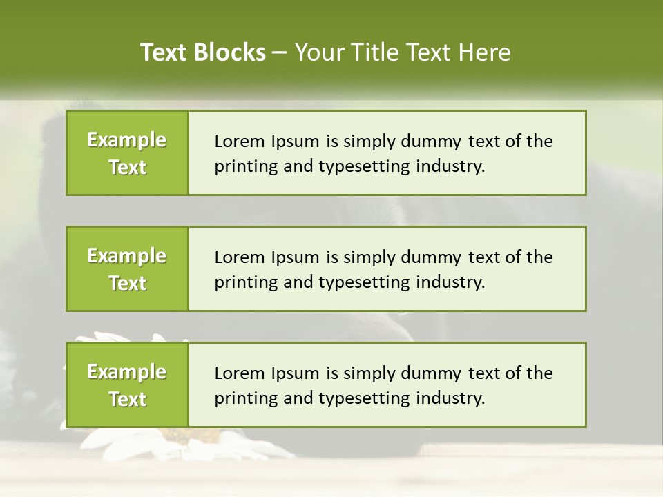 Dog Dream Black PowerPoint Template