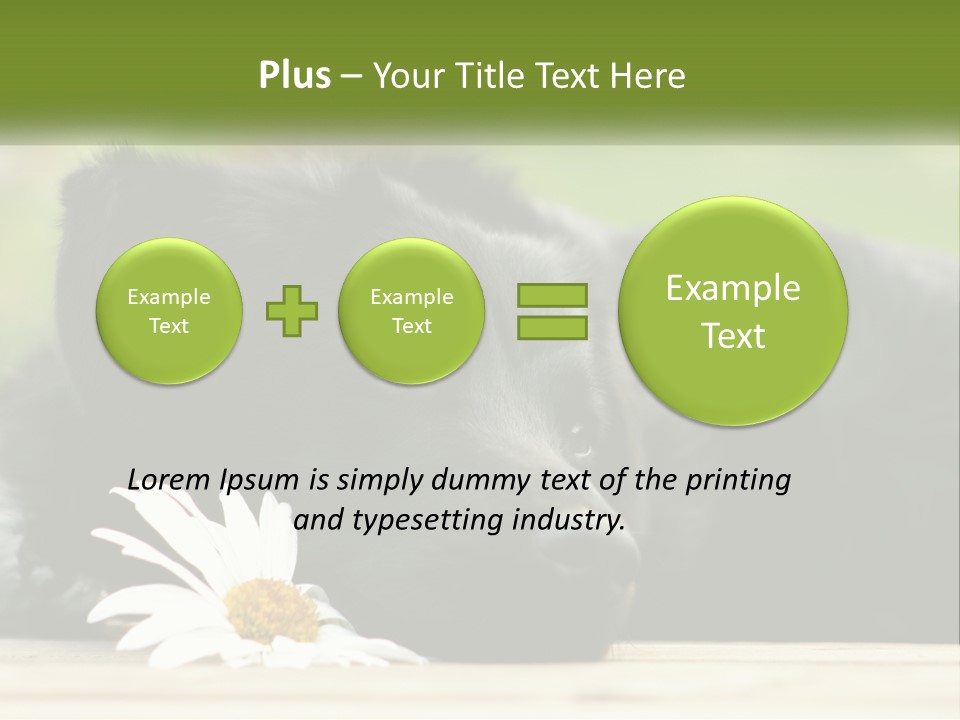 Dog Dream Black PowerPoint Template