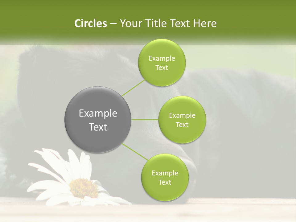 Dog Dream Black PowerPoint Template