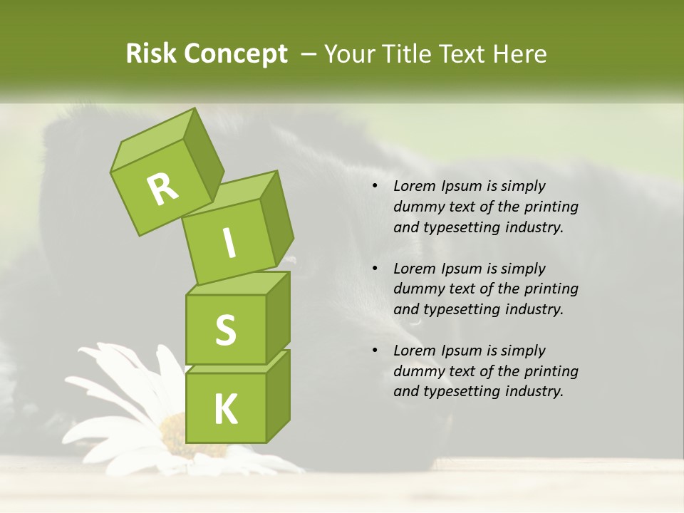 Dog Dream Black PowerPoint Template