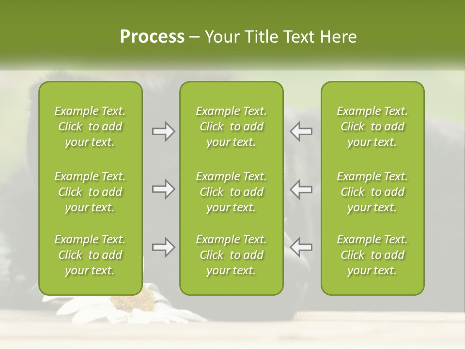 Dog Dream Black PowerPoint Template