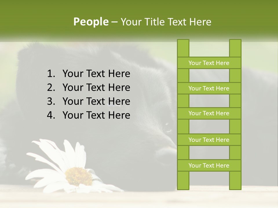 Dog Dream Black PowerPoint Template