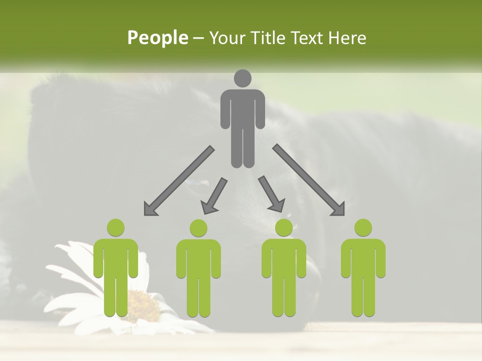 Dog Dream Black PowerPoint Template