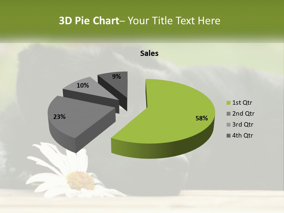 Dog Dream Black PowerPoint Template