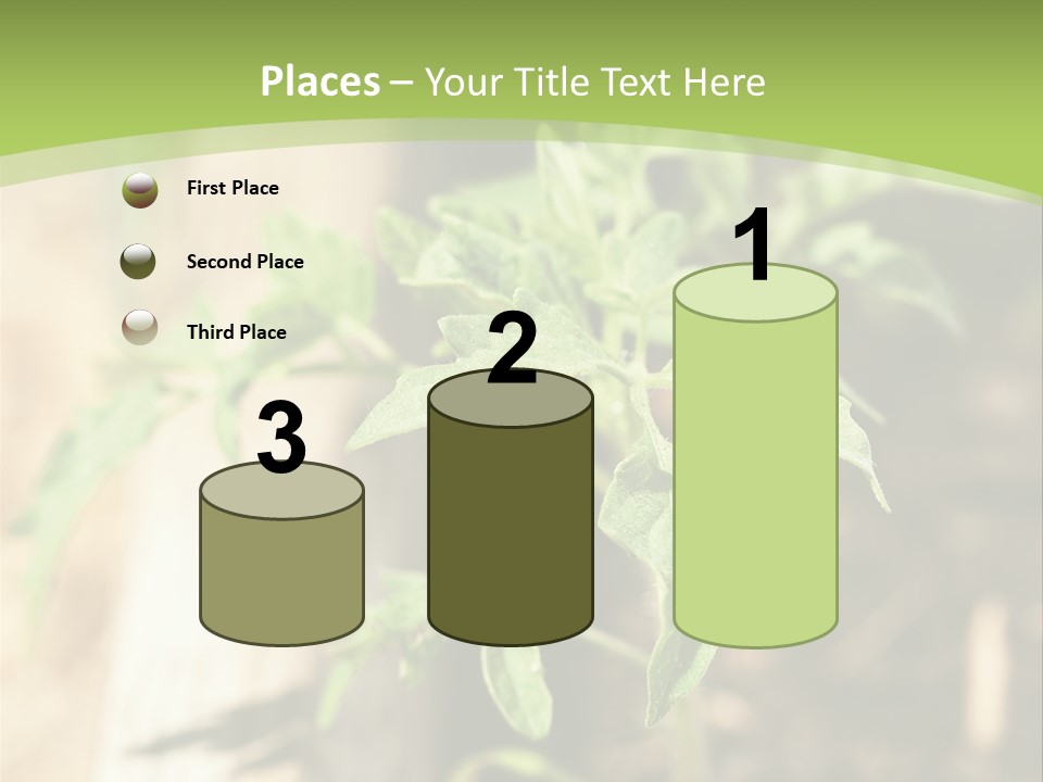Organic Soil Sunshine PowerPoint Template