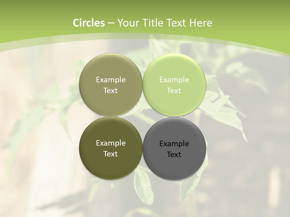 Organic Soil Sunshine PowerPoint Template