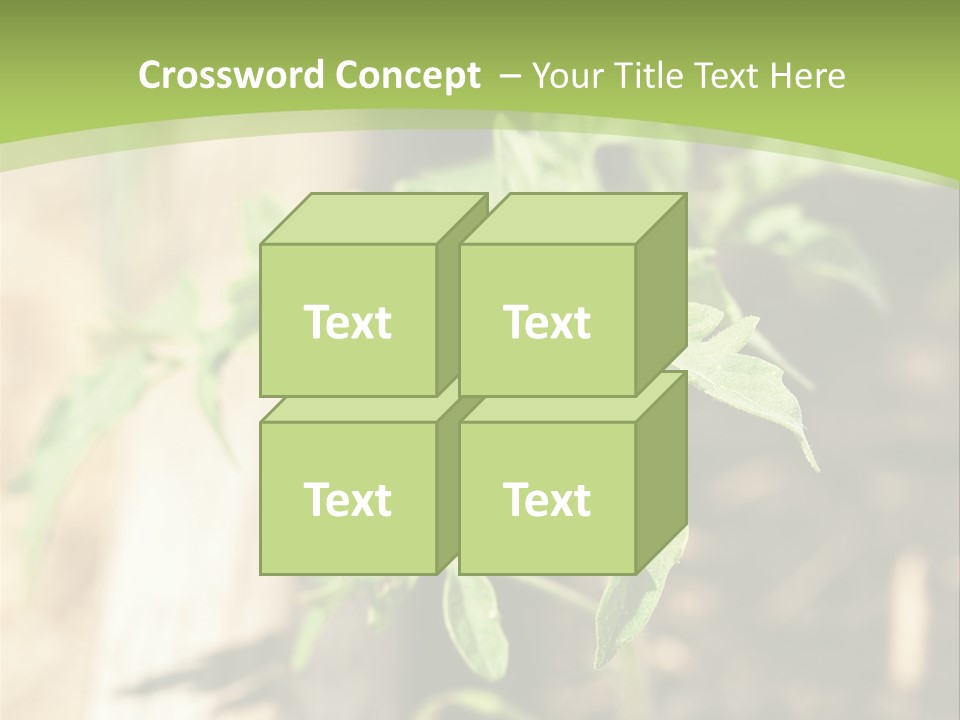 Organic Soil Sunshine PowerPoint Template