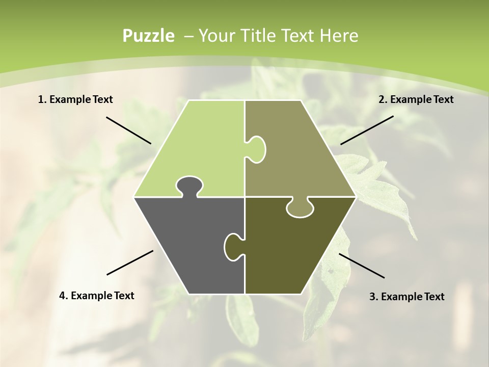 Organic Soil Sunshine PowerPoint Template