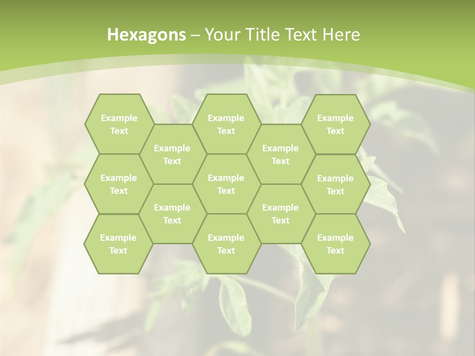 Organic Soil Sunshine PowerPoint Template