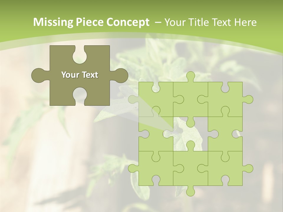 Organic Soil Sunshine PowerPoint Template