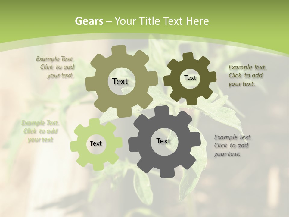 Organic Soil Sunshine PowerPoint Template