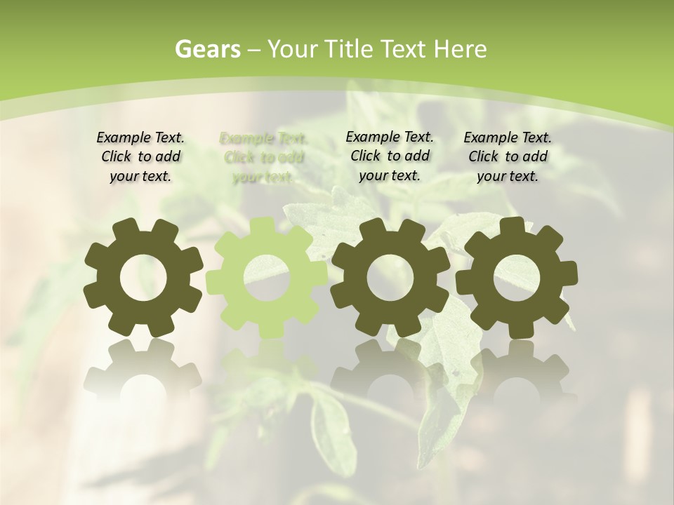 Organic Soil Sunshine PowerPoint Template