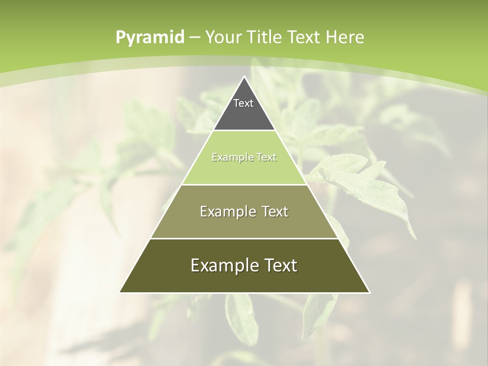 Organic Soil Sunshine PowerPoint Template