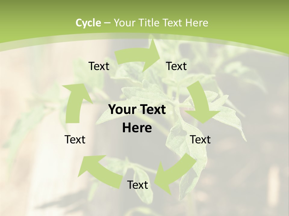 Organic Soil Sunshine PowerPoint Template