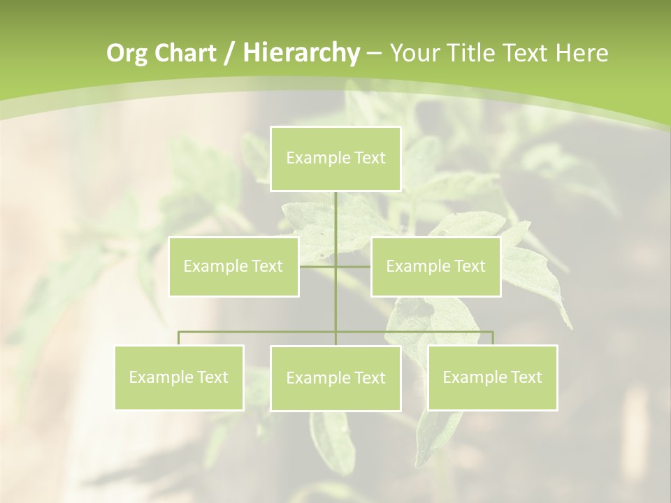 Organic Soil Sunshine PowerPoint Template