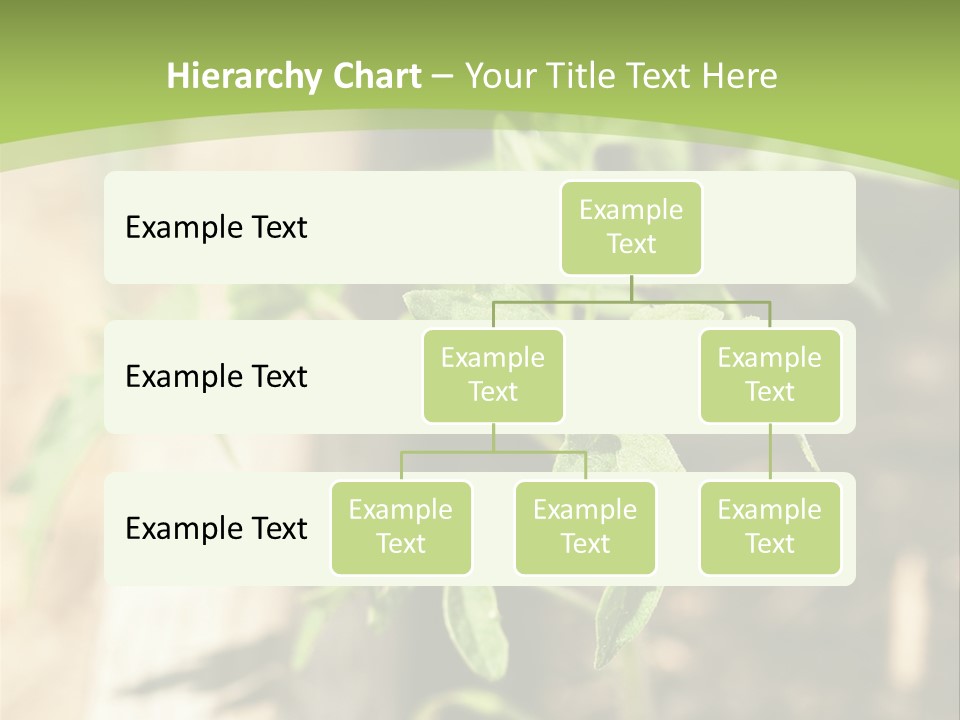 Organic Soil Sunshine PowerPoint Template