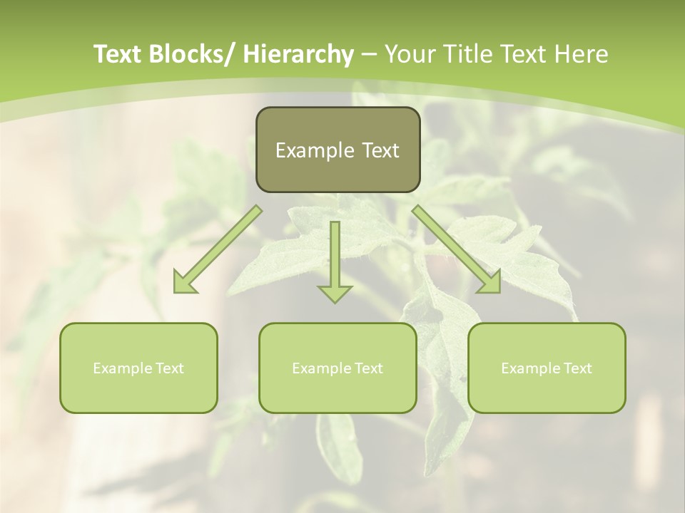 Organic Soil Sunshine PowerPoint Template