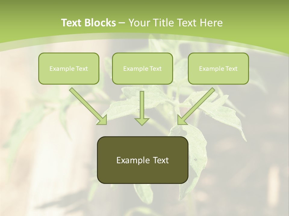 Organic Soil Sunshine PowerPoint Template