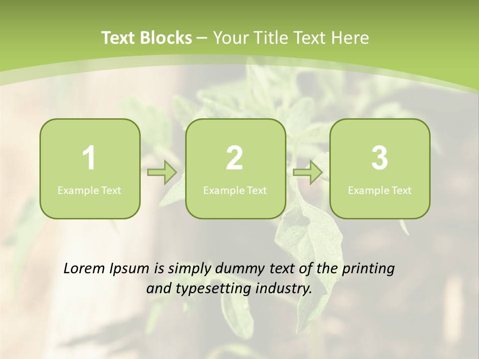 Organic Soil Sunshine PowerPoint Template