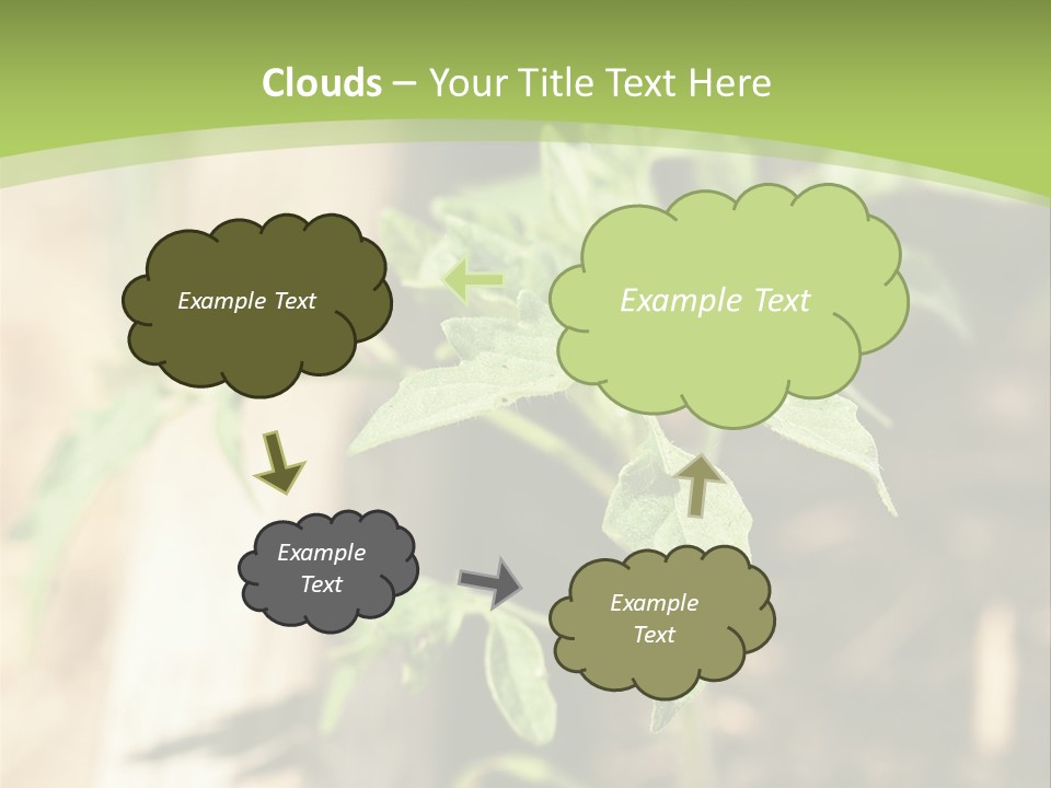 Organic Soil Sunshine PowerPoint Template