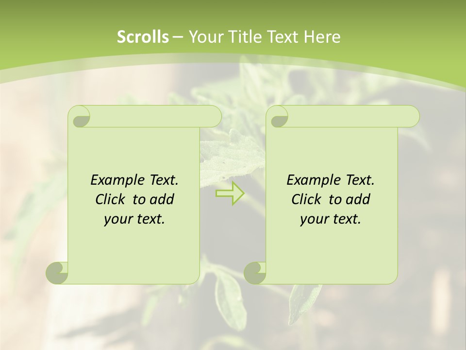 Organic Soil Sunshine PowerPoint Template