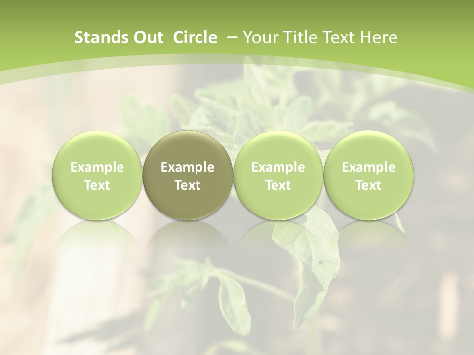 Organic Soil Sunshine PowerPoint Template