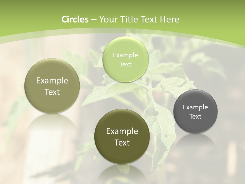 Organic Soil Sunshine PowerPoint Template