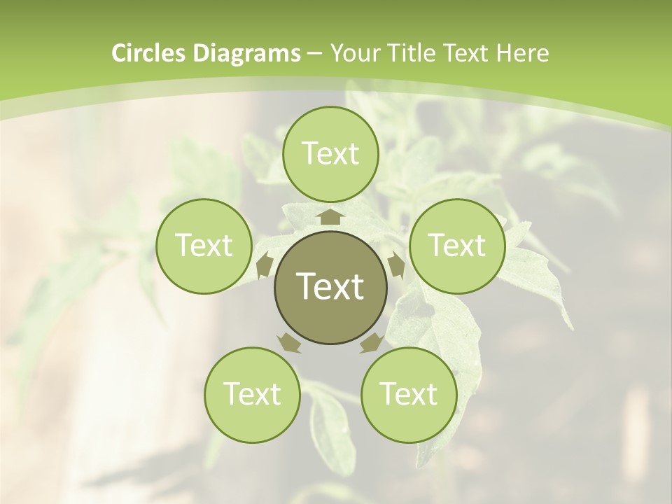Organic Soil Sunshine PowerPoint Template