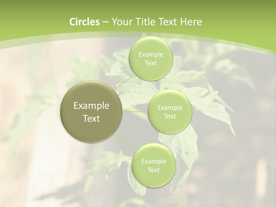 Organic Soil Sunshine PowerPoint Template