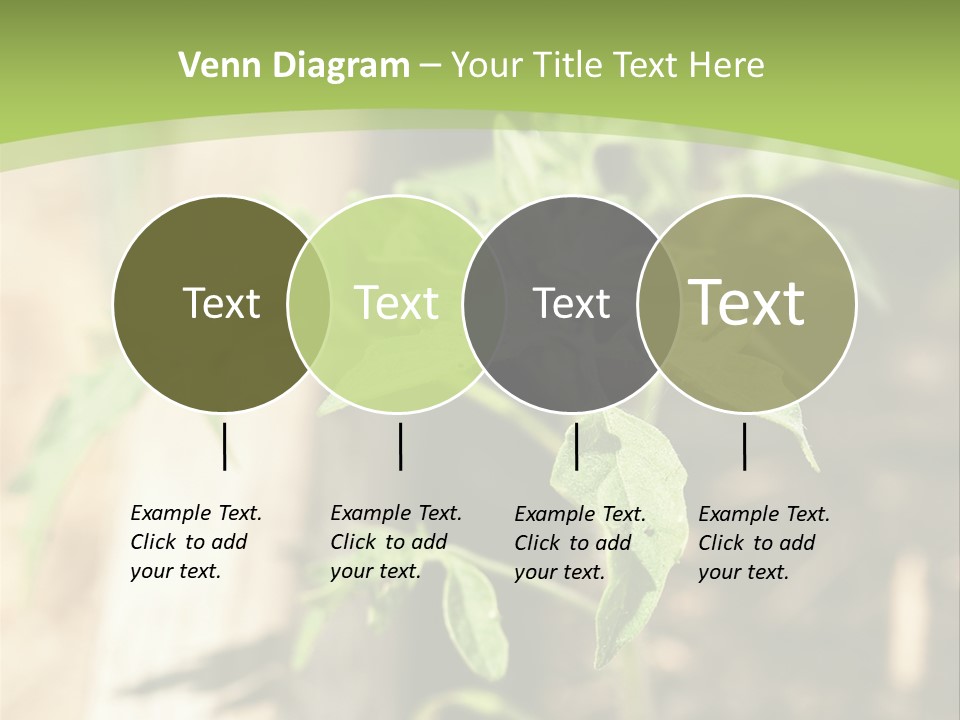 Organic Soil Sunshine PowerPoint Template