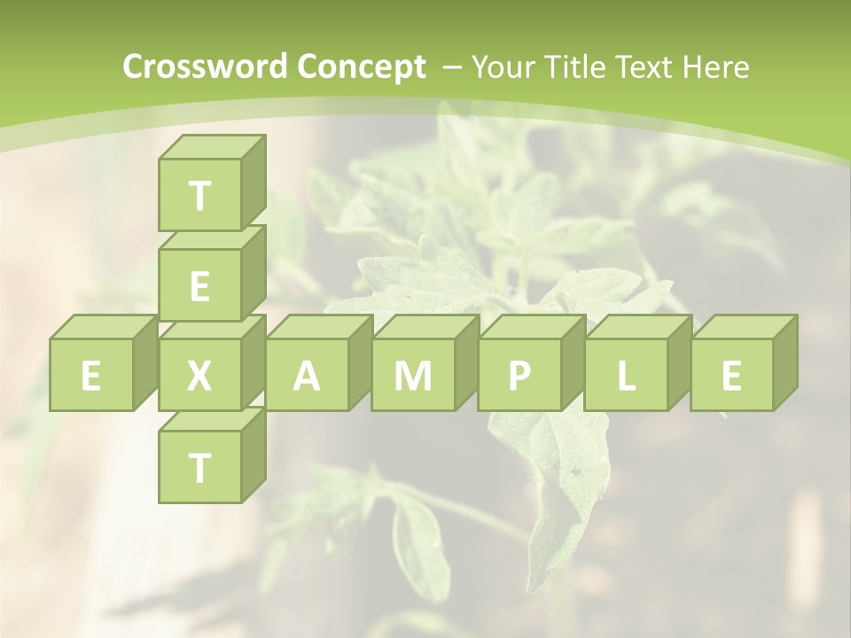 Organic Soil Sunshine PowerPoint Template
